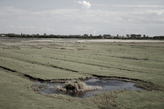 Killikus&reg; Fotographie